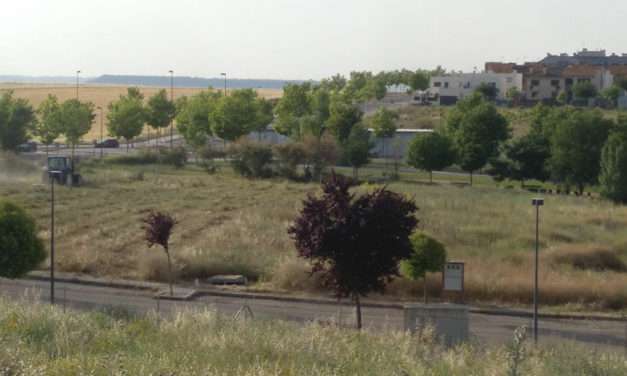 Comienza el desbroce y vallado de parcelas