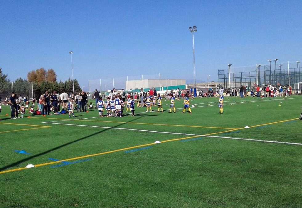 Celebración de competiciones deportivas públicas