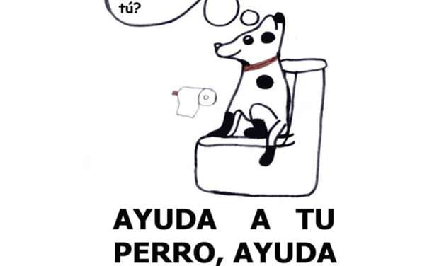 La oposición vota en contra de la nueva Ordenanza de animales